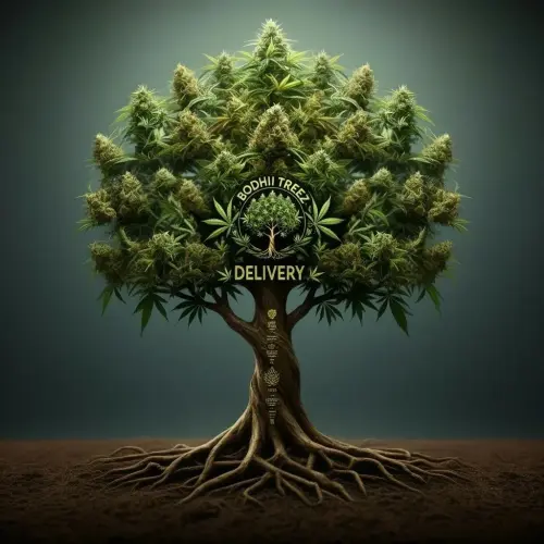 Bodhi Treez Delivery