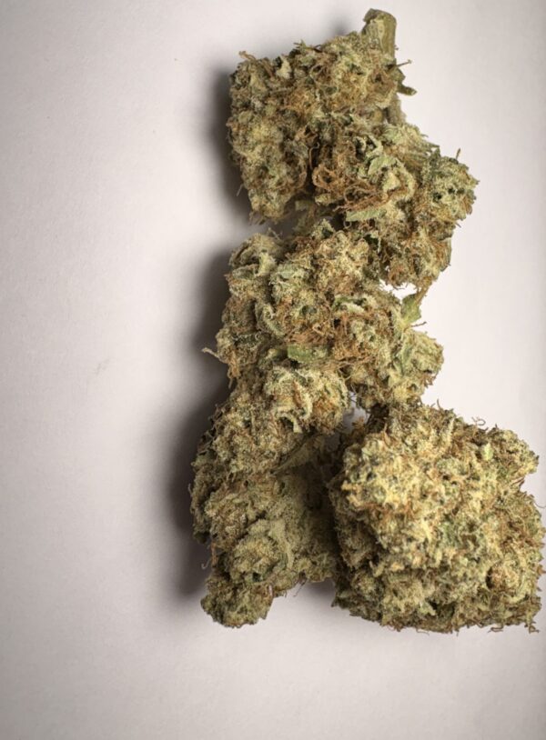 Blueberry Muffins