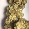 Blueberry Muffins