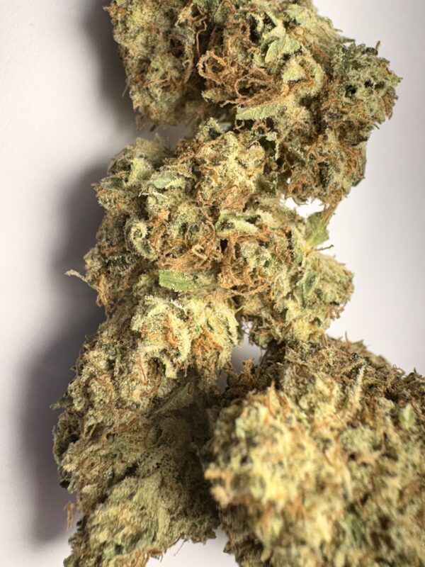 Blueberry Muffins