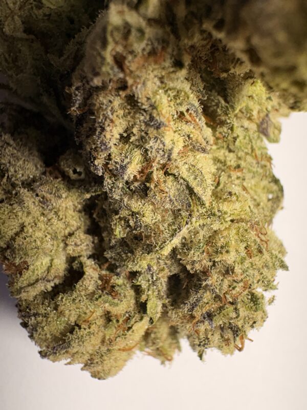 Zour Belts